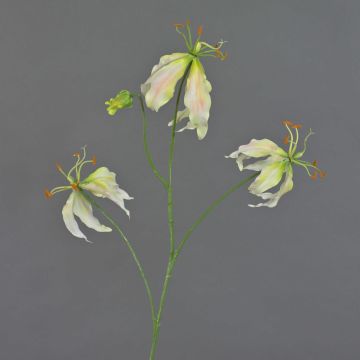 Gloriosa de imitación TIANA, rosa-verde, 80cm, Ø8-15cm