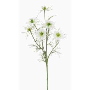Comino negro de plástico SEVIN, blanco-verde, 65cm, Ø6-7cm Comino negro de plástico SEVIN, blanco-verde, 65cm, Ø6-7cm