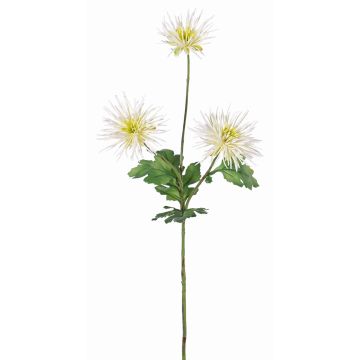 Crisantemo artificial SOLVIE, crema, 70cm, Ø10cm Crisantemo artificial SOLVIE, crema, 70cm, Ø10cm