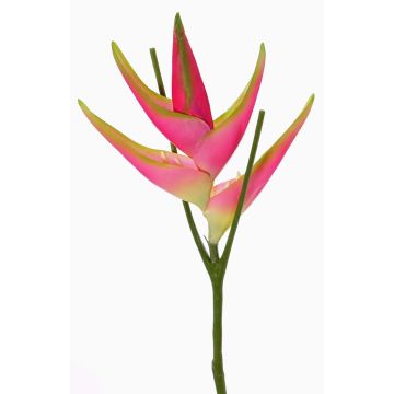 Flor de Heliconia de plástico TOMKE, rosa-verde, 80cm, Ø30cm