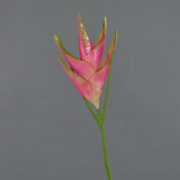 Flor de Heliconia de plástico TOMKE, rosa-verde, 80cm, Ø30cm
