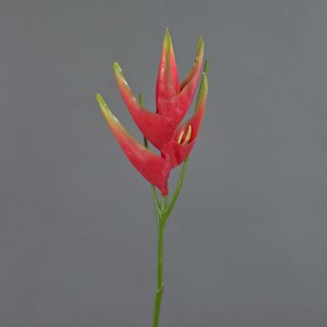 Flor de Heliconia de plástico TOMKE, rojo-verde, 80cm, Ø30cm