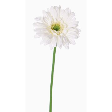 Gerbera de plástico HELLI, crema, 65cm, Ø12cm Gerbera de plástico HELLI, crema, 65cm, Ø12cm