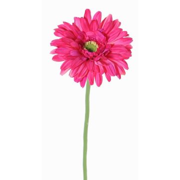Gerbera de plástico HELLI, fucsia, 65cm, Ø12cm Gerbera de plástico HELLI, fucsia, 65cm, Ø12cm
