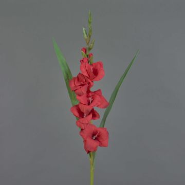 Gladiolo de plástico ELEA, rojo, 85cm, Ø3-10cm Gladiolo de plástico ELEA, rojo, 85cm, Ø3-10cm