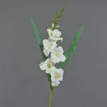 Gladiolo de plástico ELEA, blanco, 85cm, Ø3-10cm Gladiolo de plástico ELEA, blanco, 85cm, Ø3-10cm