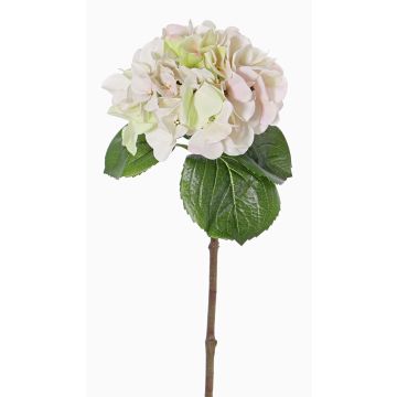 Hortensia sintética CHIDORI, rosa-crema, 60cm, Ø20cm Hortensia sintética CHIDORI, rosa-crema, 60cm, Ø20cm