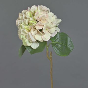 Hortensia sintética CHIDORI, rosa-crema, 60cm, Ø20cm