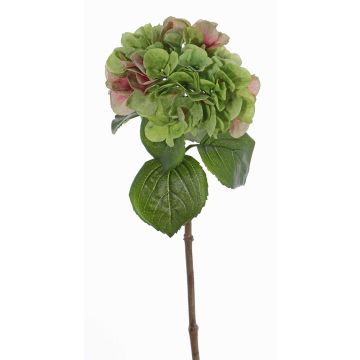 Hortensia sintética CHIDORI, verde-rosa, 60cm, Ø20cm Hortensia sintética CHIDORI, verde-rosa, 60cm, Ø20cm