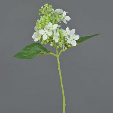 Hortensia artificial CHABY, blanco-verde, 30cm, Ø9cm