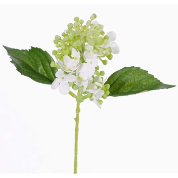Hortensia artificial CHABY, blanco-verde, 30cm, Ø9cm Hortensia artificial CHABY, blanco-verde, 30cm, Ø9cm