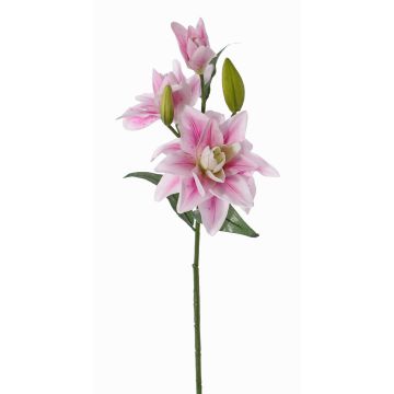 Lirio de plástico ISALIE, rosa-blanco, 80cm, Ø15cm