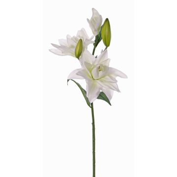 Lirio de plástico ISALIE, blanco-verde, 80cm, Ø15cm Lirio de plástico ISALIE, blanco-verde, 80cm, Ø15cm