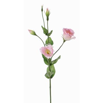 Lisianthus de plástico JUDIKA, rosa, 70cm, Ø5cm Lisianthus de plástico JUDIKA, rosa, 70cm, Ø5cm