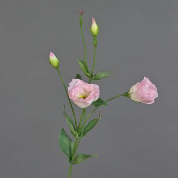 Lisianthus de plástico JUDIKA, rosa, 70cm, Ø5cm