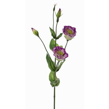 Lisianthus de plástico JUDIKA, verde-violeta, 70cm, Ø5cm Lisianthus de plástico JUDIKA, verde-violeta, 70cm, Ø5cm