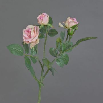 Rama de rosa de plástico CORALEE, rosa, 50cm, Ø3-7cm