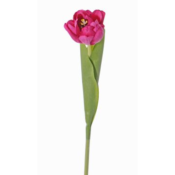 Tulipán de plástico ROMANA, fucsia, 45cm, Ø6cm Tulipán de plástico ROMANA, fucsia, 45cm, Ø6cm