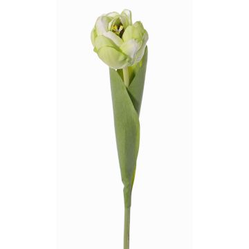 Tulipán de plástico ROMANA, verde claro, 45cm, Ø6cm Tulipán de plástico ROMANA, verde claro, 45cm, Ø6cm