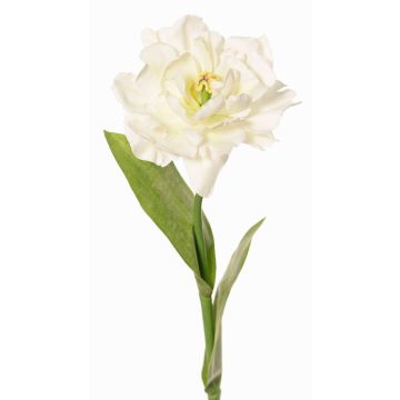 Falso tulipán loro STEFANIE, blanco-verde, 65cm, Ø7cm Falso tulipán loro STEFANIE, blanco-verde, 65cm, Ø7cm
