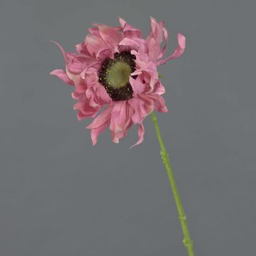 Girasol de plástico JANIKA, fucsia, 60cm, Ø12cm