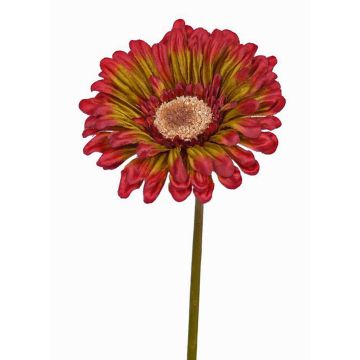 Gerbera de plástico ANNEMARIE, rojo-verde, 50cm, Ø10cm