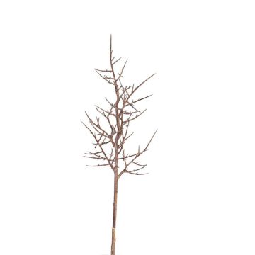 Rama de espino de plástico OTTO, marrón, 75cm Rama de espino de plástico OTTO, marrón, 75cm
