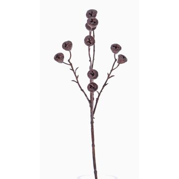 Rama de eucalipto de plástico BASILIUS con frutos, marrón, 60cm Rama de eucalipto de plástico BASILIUS con frutos, marrón, 60cm