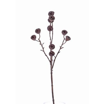 Rama de eucalipto de plástico BASILIUS con frutos, marrón, 60cm Rama de eucalipto de plástico BASILIUS con frutos, marrón, 60cm