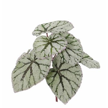 Begonia de hoja pintada sintética KATRICE, con vara de fijación, verde-gris, 25cm