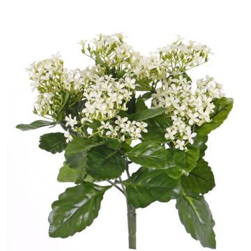 Kalanchoe artificial LORRE con palo, para estancias resguardadas, blanco, 35cm, Ø30cm Kalanchoe artificial LORRE con palo, para estancias resguardadas, blanco, 35cm, Ø30cm