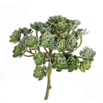 Echeveria de plástico BLAIR, con vara, verde, 20cm, Ø10cm Echeveria de plástico BLAIR, con vara, verde, 20cm, Ø10cm