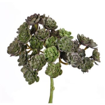 Echeveria de plástico BLAIR, con vara, rojo-verde, 20cm, Ø10cm Echeveria de plástico BLAIR, con vara, rojo-verde, 20cm, Ø10cm