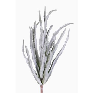 Euphorbia trigona de plástico REESE con palo, gris-verde, 30cm, Ø20cm Euphorbia trigona de plástico REESE con palo, gris-verde, 30cm, Ø20cm