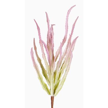 Euphorbia trigona de plástico REESE con palo, rosa-verde, 30cm, Ø20cm Euphorbia trigona de plástico REESE con palo, rosa-verde, 30cm, Ø20cm