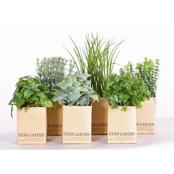 Hierbas aromáticas artificiales CHUCK en maceta de papel, 6 unidades, verde, 15-25cm
