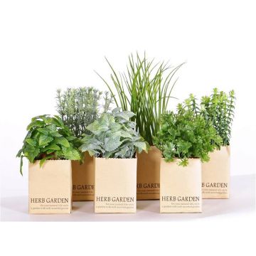 Hierbas aromáticas artificiales CHUCK en maceta de papel, 6 unidades, verde, 15-25 cm