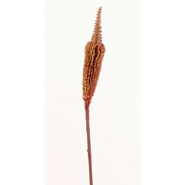 Bulbinella de plástico TALUNA, marrón-rojo, 65cm, Ø4cm Bulbinella de plástico TALUNA, marrón-rojo, 65cm, Ø4cm