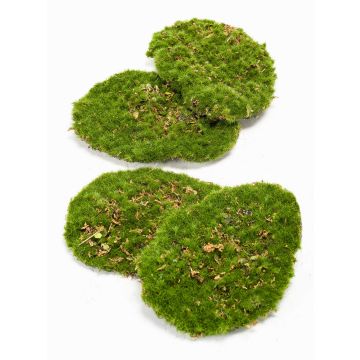 Trozos de musgo sintético HEFEI, 4 unidades, verde, 11x15x5cm