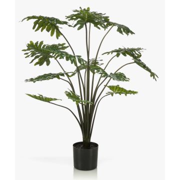 Falso filodendro Selloum AWEO, 95cm