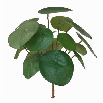 Planta china del dinero de plástico SYBIL con varilla, verde, 20cm Planta china del dinero de plástico SYBIL con varilla, verde, 20cm