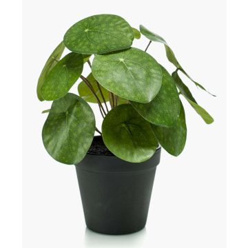 Planta china del dinero de plástico SYBIL, verde, 20cm Planta china del dinero de plástico SYBIL, verde, 20cm