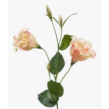 Flor textil Lisianthus JENO, rosa-crema, 60cm