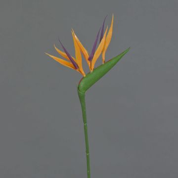 Estrelicia sintética ZETKIN, naranja-morado, 65cm