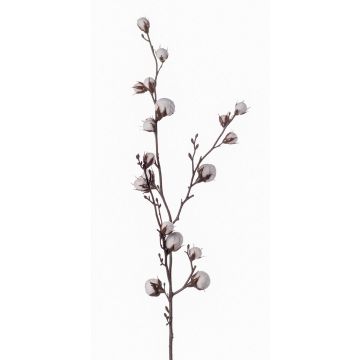 Rama decorativa de algodón EYCK, floración, verde, 95cm Rama decorativa de algodón EYCK, floración, verde, 95cm