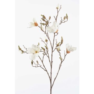Flor falsa de magnolia CAELO, crema, 105cm Flor falsa de magnolia CAELO, crema, 105cm