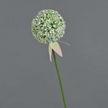 Allium de plástico DURBAN, blanco, 70cm