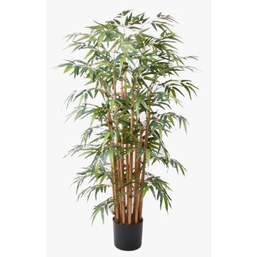 Planta artificial de bambú HIKITO, tallos naturales, 145 cm Planta artificial de bambú HIKITO, tallos naturales, 145 cm