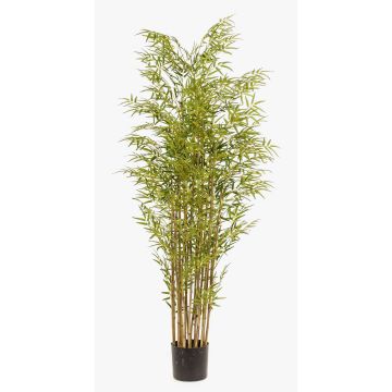 Bambú artificial SATOKO, tallos naturales, 180 cm Bambú artificial SATOKO, tallos naturales, 180 cm