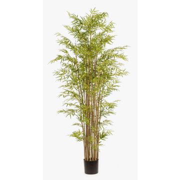 Bambú artificial SATOKO, tallos naturales, 210 cm